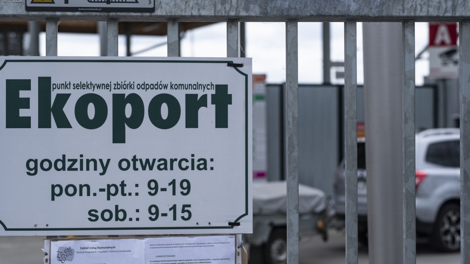 Do rozdania jest ponad 900 dwumetrowych jabłoni. Fot. Wojciech Ochrymiuk [Radio Szczecin]