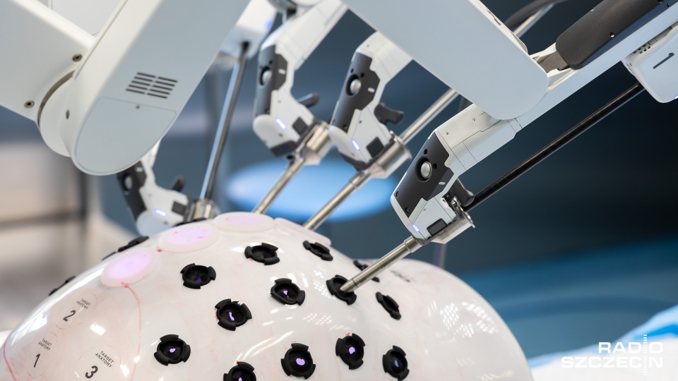 Fot. Robert Stachnik [Radio Szczecin]