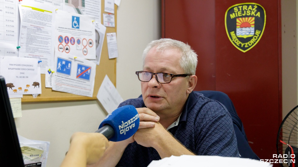 Dariusz Oswald tłumaczy, jak prawidłowo zachować się, kiedy znajdziemy martwe zwierzę. Fot. Robert Stachnik [Radio Szczecin]
