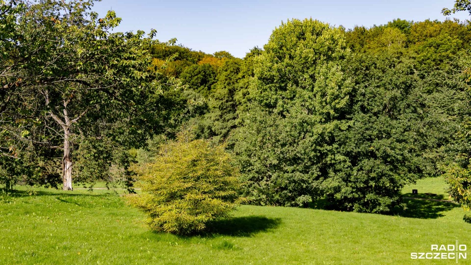 Arboretum kończy sezon turystyczny 31 października, czyli w najbliższą sobotę. Fot. Robert Stachnik [Radio Szczecin]