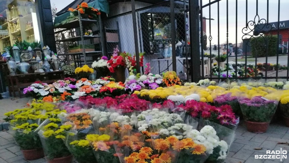 Prezydent Kołobrzegu, Anna Mieczkowska poinformowała na swoim Facebooku, że miasto odkupi od przedsiębiorców kwiaty. Fot. Przemysław Polanin (Radio Szczecin)