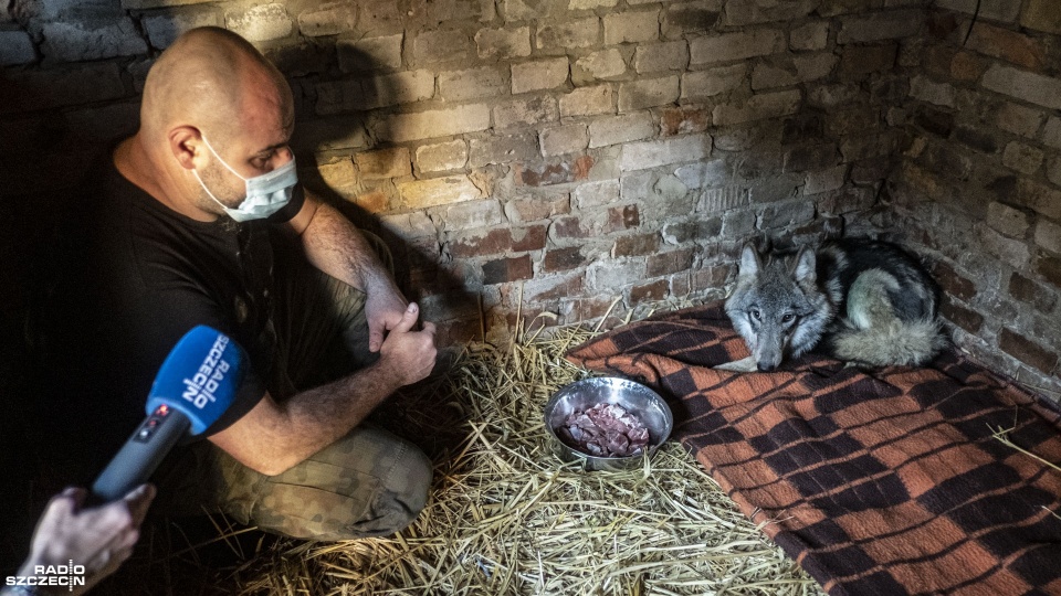 Fot. Wojciech Ochrymiuk [Radio Szczecin]