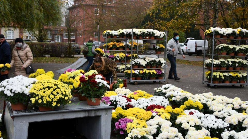 Kwiaty będzie można otrzymać w czwartek w godzinach 11-15 na pl. Mickiewicza przed urzędem miasta. źródło: http://www.swinoujscie.pl/pl/contents/content/126/15871