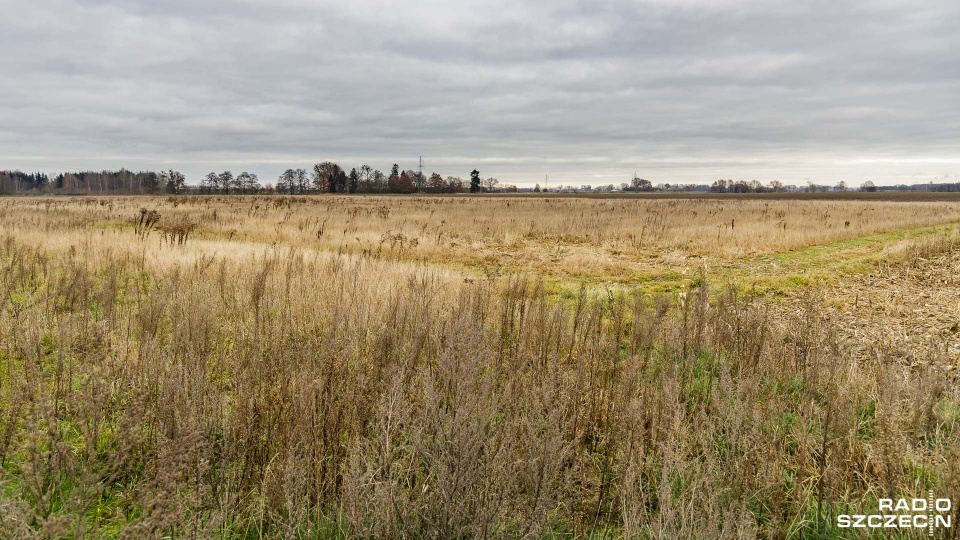 Fot. Robert Stachnik [Radio Szczecin]