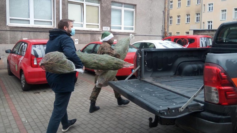 Fot. Regionalna Dyrekcja Lasów Państwowych w Szczecinie