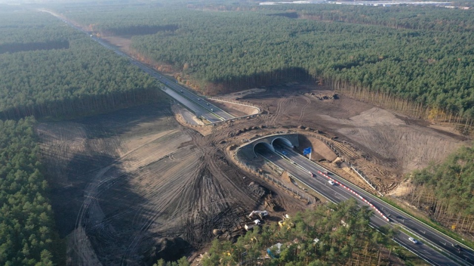 źródło: Generalna Dyrekcja Dróg Krajowych i Autostrad.