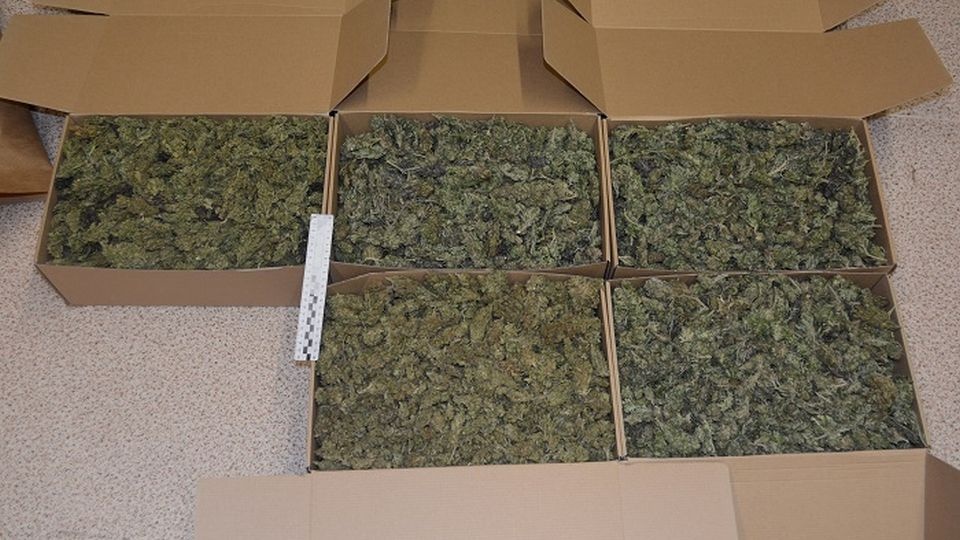 Mężczyzna usłyszał zarzut posiadania znacznej ilości środków odurzających. źródło: https://szczecinek.policja.gov.pl/zsz/