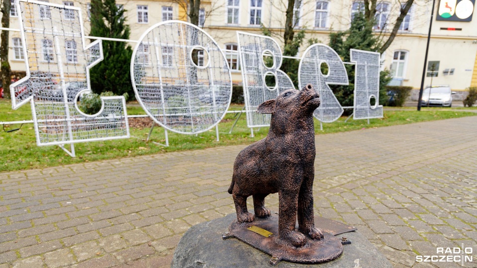 Fot. Robert Stachnik [Radio Szczecin]