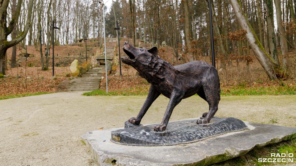 Fot. Robert Stachnik [Radio Szczecin]