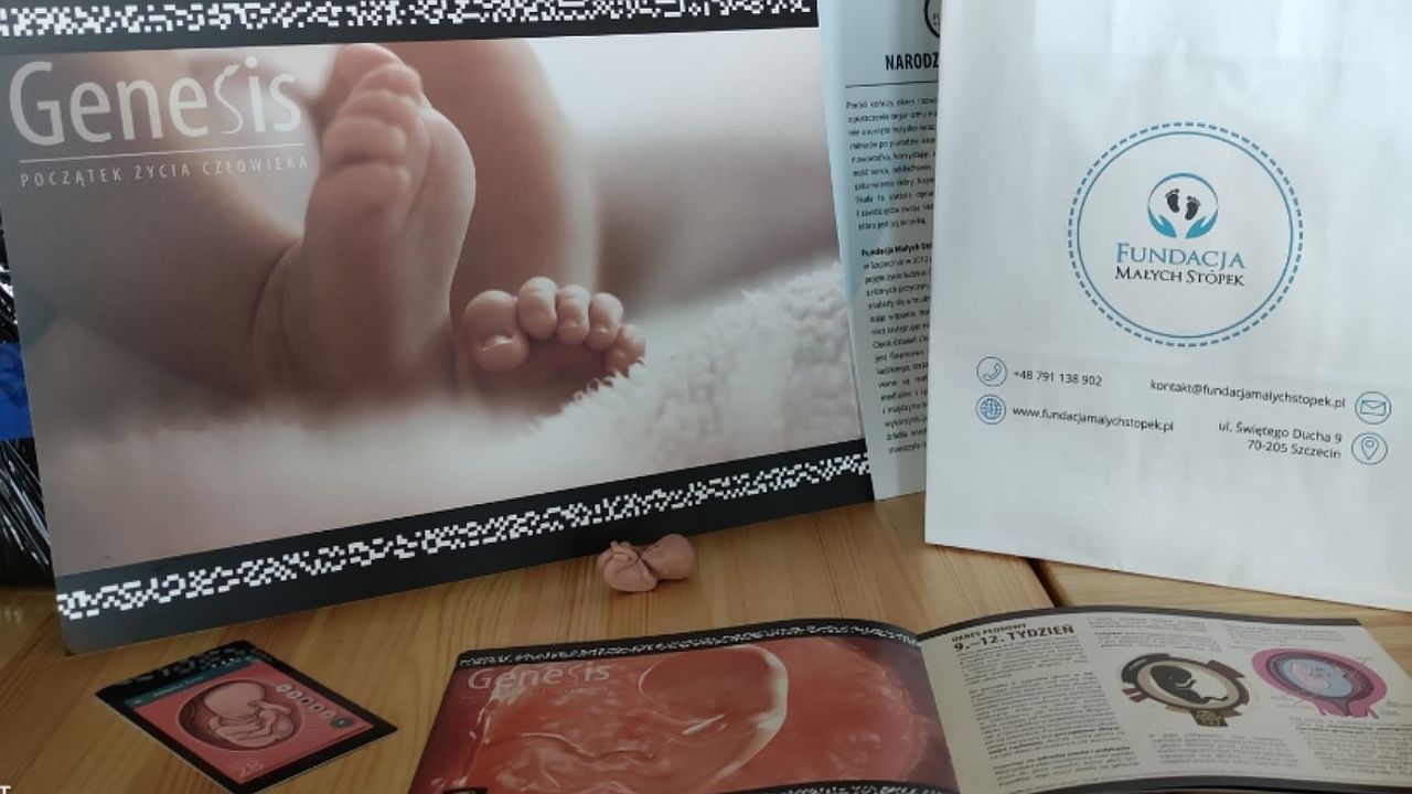 Edukacyjne karty "Genesis" to nowa propozycja Fundacji Małych Stópek. Mają związek z książką "Genesis. Początek życia człowieka", którą fundacja wydała w marcu. Fot. www.facebook.com/FundacjaMalychStopek