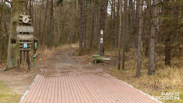 Fot. Robert Stachnik [Radio Szczecin] RDOŚ wydała negatywną opinię ws. ścieżki rowerowej Świnoujście - Międzyzdroje [ZDJĘCIA]