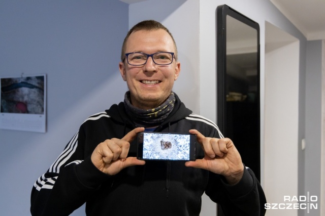 Fot. Robert Stachnik [Radio Szczecin] Przytulone dziki spod Chojny hitem internetu [ZDJĘCIA]