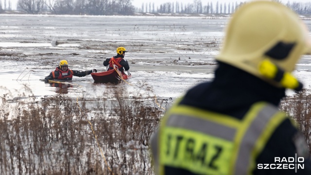 Fot. Robert Stachnik [Radio Szczecin] Pod dzikami załamał się lód. Na ratunek ruszyli strażacy [ZDJĘCIA]