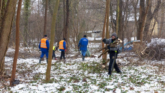 Fot. Robert Stachnik [Radio Szczecin] "Pierwsza taka akcja w Chojnie" [ZDJĘCIA]