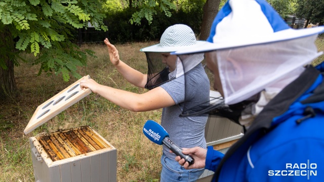 Fot. Robert Stachnik [Radio Szczecin] Najmłodszy pszczelarz regionu rozpoczyna miodobranie [WIDEO, ZDJĘCIA]