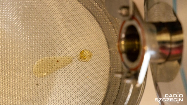 Fot. Robert Stachnik [Radio Szczecin] Najmłodszy pszczelarz regionu rozpoczyna miodobranie [WIDEO, ZDJĘCIA]