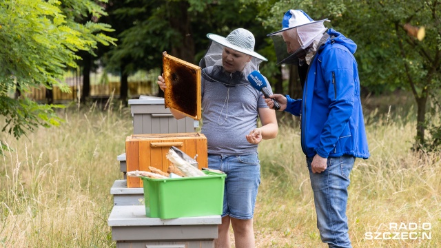 Fot. Robert Stachnik [Radio Szczecin] Najmłodszy pszczelarz regionu rozpoczyna miodobranie [WIDEO, ZDJĘCIA]