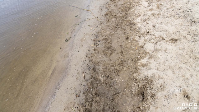 Fot. Robert Stachnik [Radio Szczecin] Ciemna i brudna plaża? OSiR: oczyści się w sposób naturalny [WIDEO, ZDJĘCIA]