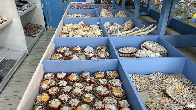 Fot. Marcin Kokolus [Radio Szczecin] Hity tegorocznych pamiątek znad morza [ZDJĘCIA]