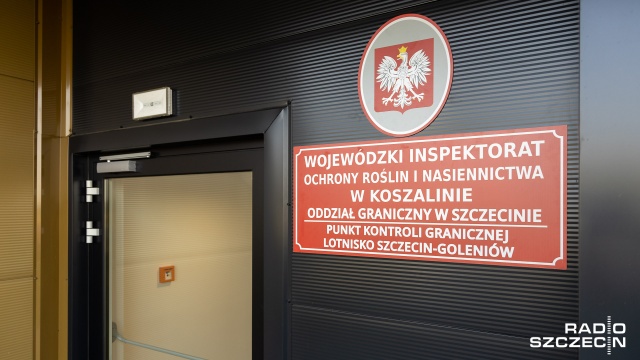 Fot. Robert Stachnik [Radio Szczecin] Dobra wiadomość dla importerów [WIDEO, ZDJĘCIA]