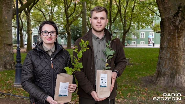 Sadzonki na mieszkańców czekać będą od godz. 10, niedaleko fontanny Bartłomiejki. Fot. Robert Stachnik [Radio Szczecin] Buki, jodły i dęby do zdobycia na Jasnych Błoniach [WIDEO, ZDJĘCIA]