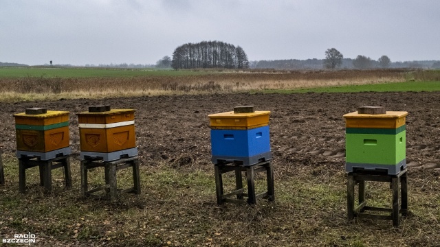 Tegoroczny limit pomocy wyniósł 35,5 mln zł. Wsparcie miało charakter pomocy de minimis. Wnioski o taką pomoc będzie można składać co roku. Fot. Wojciech Ochrymiuk [Radio Szczecin] ARiMR - dopłaty również dla pszczelarzy [WIDEO, ZDJĘCIA]
