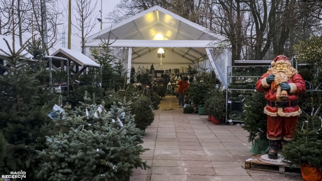 Odwiedziliśmy mieszkańców osiedla Żelechowa oraz szpital w Zdrojach. Fot. Wojciech Ochrymiuk [Radio Szczecin] Choinki od Radia Szczecin. Jedna może być dla Ciebie! [WIDEO, ZDJĘCIA]