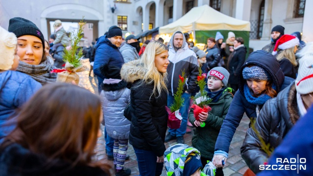 Fot. Robert Stachnik [Radio Szczecin] Świąteczne ozdoby z... kaktusa, ciepłe napoje i wiele więcej [ZDJĘCIA]