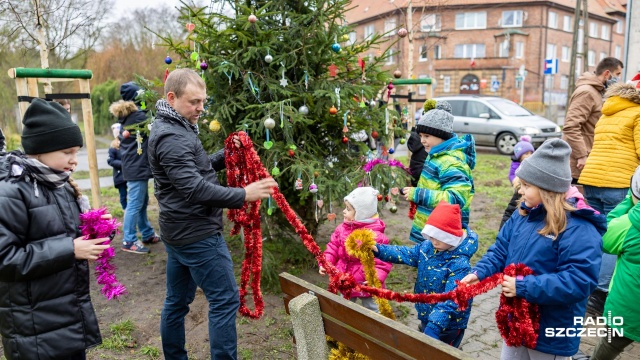 Fot. Robert Stachnik [Radio Szczecin] Skolwin ma swoją wyjątkową choinkę [WIDEO, ZDJĘCIA]