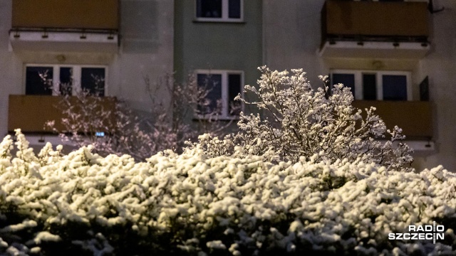 Astronomiczna zima potrwa do równonocy wiosennej, która w 2022 roku przypada 20 marca. Fot. Robert Stachnik [Radio Szczecin] Astronomiczna zima: szczecinianie zadowoleni