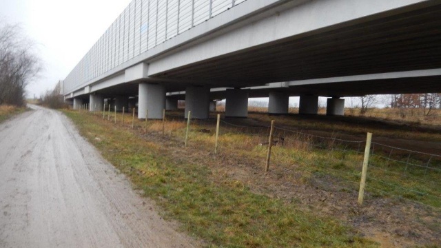 Siatki blokujące przemieszczanie się dzików są montowane na trasie S3. Mają one pomóc zatrzymać rozprzestrzenianie się ASF w regionie.