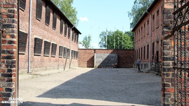 Rocznica wyzwolenia Auschwitz-Birkenau. Obchody w sieci