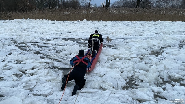 Strażacy uratowali uwięzionego na rzece psa [ZDJĘCIA]