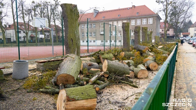 Zdziwić się mogli rodzice odprowadzający dzieci do Szkoły Podstawowej numer 3 w Szczecinie. Rosnące od wielu lat wokół boiska drzewa zostały wycięte.