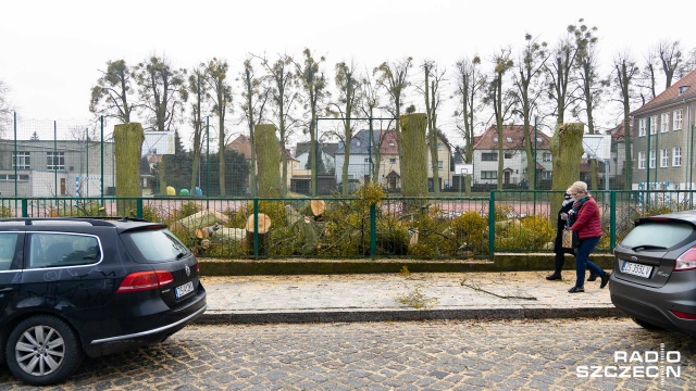 Tragedia w Warszawie usprawiedliwia wycinkę drzew przy szczecińskiej podstawówce - mówił radnym w czasie sesji prezydent Szczecina Piotr Krzystek.