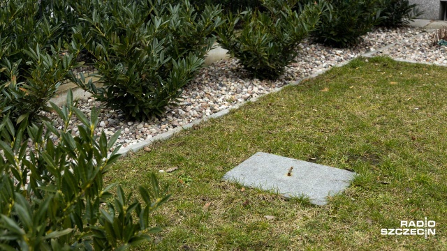 Chodzi o rzeźby z brązu, które trzy lata temu stanęły w ogródkach, w centrum Szczecina m.in. przy ul. Wielkopolskiej, Mazurskiej czy Monte Cassino.