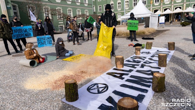 Drzewa znikają z centrum miasta, a Szczecin staje się betonową pustynią - mówili uczestnicy protestu przed Urzędem Miasta. Zorganizował go ruch Extinction Rebellion.