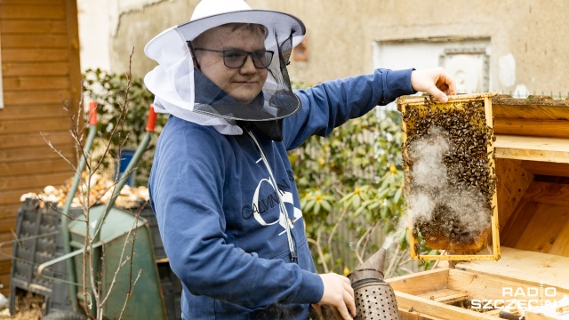 Mieszkańcy Skolwina, Żelechowej czy też Gumieniec gotowi są umieścić na swoich działkach pasieki najmłodszego szczecińskiego pszczelarza, Franciszka Bandury.