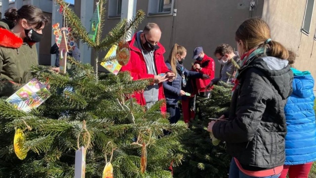 Stargardzkie Centrum Kultury zaprasza do wieszania ozdób na drzewkach przed swoją siedzibą.