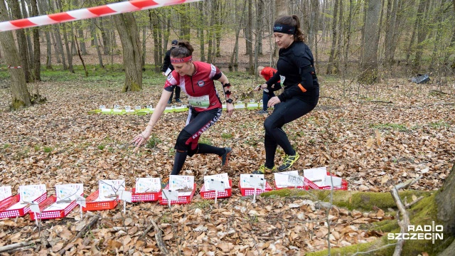 250 zawodników w różnym wieku wystartowało w sobotnim biegu na średnim dystansie w ramach Bukowa Cup.