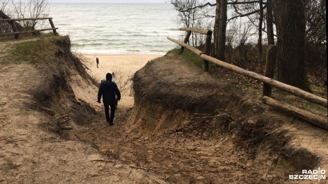 Trwa remont zejścia na plażę w Świętouściu na terenie Wolińskiego Parku Narodowego.