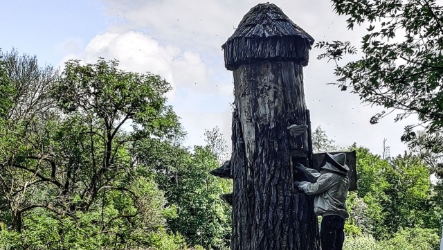 To pierwsze takie miejsce w Szczecinie - na Syrenich Stawach powstała miejska barć. Przygotowali ją pracownicy Lasów Miejskich wraz z pszczelarzem.