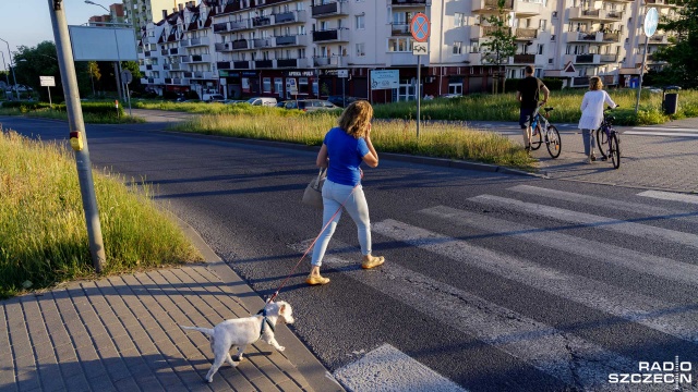 Szczecinianie w większości stosują się do wprowadzonych od 1 czerwca zmian w prawie o ruchu drogowym. Opinia ta dotyczy nie tylko kierowców, ale także pieszych korzystających w trakcie przekraczania jezdni ze swoich telefonów komórkowych.