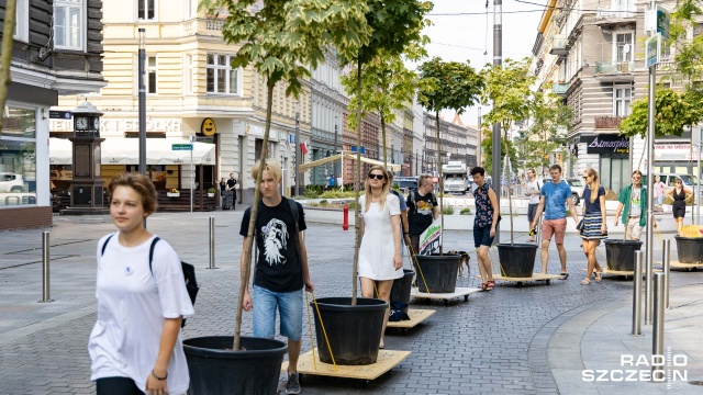 Kolejną akcję Wędrujące drzewa organizuje w sobotę Szczeciński Ruch Miejski. Od godziny 15. młodzi aktywiści maszerować będą ulicami miasta, co wiązać się będzie jednocześnie z utrudnieniami w funkcjonowaniu komunikacji miejskiej.