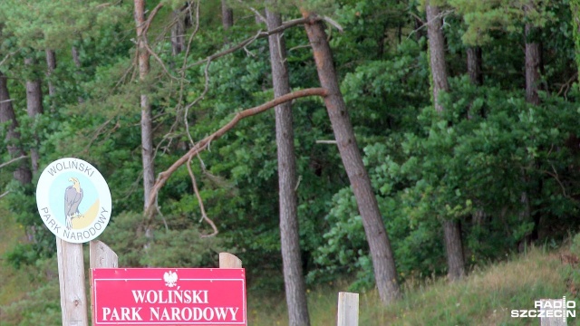 Woliński Park Narodowy można zwiedzić z aplikacją. To turystyczny przewodnik po tym miejscu.