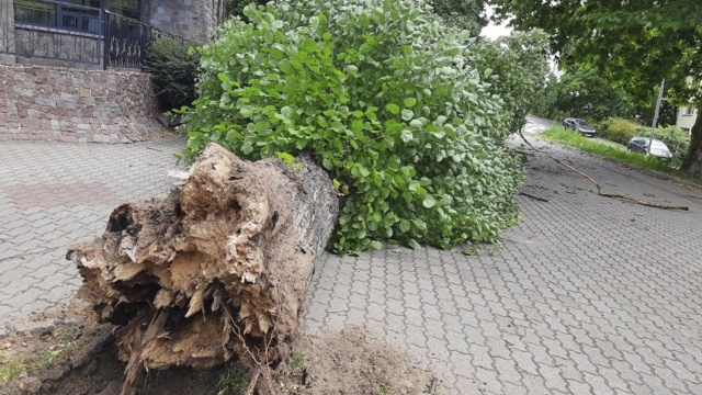 Do zdarzenia doszło przy kościele, na ulicy Księżnej Anastazji w Szczecinie.