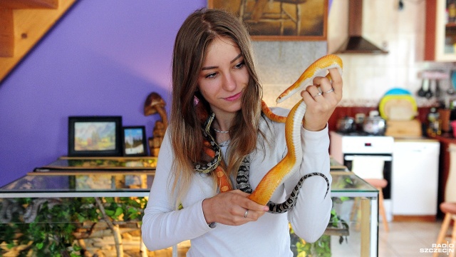 Eliot, Elmerka, Sid, Smark, Demon, Dyzio i Zyzio - te imiona brzmiące jak postacie z bajek to kolekcja potężnych węży, w tym pytonów 18-letniej Nikoli Kornas z Rożnowa w powiecie gryfińskim.
