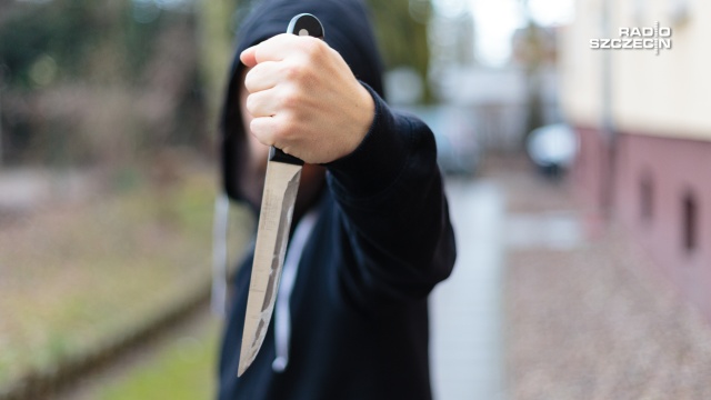 18 lat więzienia grozi mężczyźnie, który ukradł samochód, a jego właścicielowi groził nożem.
