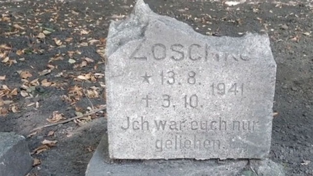 155 tysięcy złotych kosztowała rewitalizacja cmentarza w Pargowie.