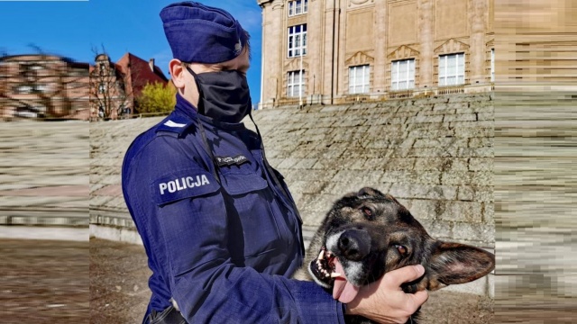 Policyjny pies wytropił złodzieja i pomógł odzyskać skradzione rzeczy.